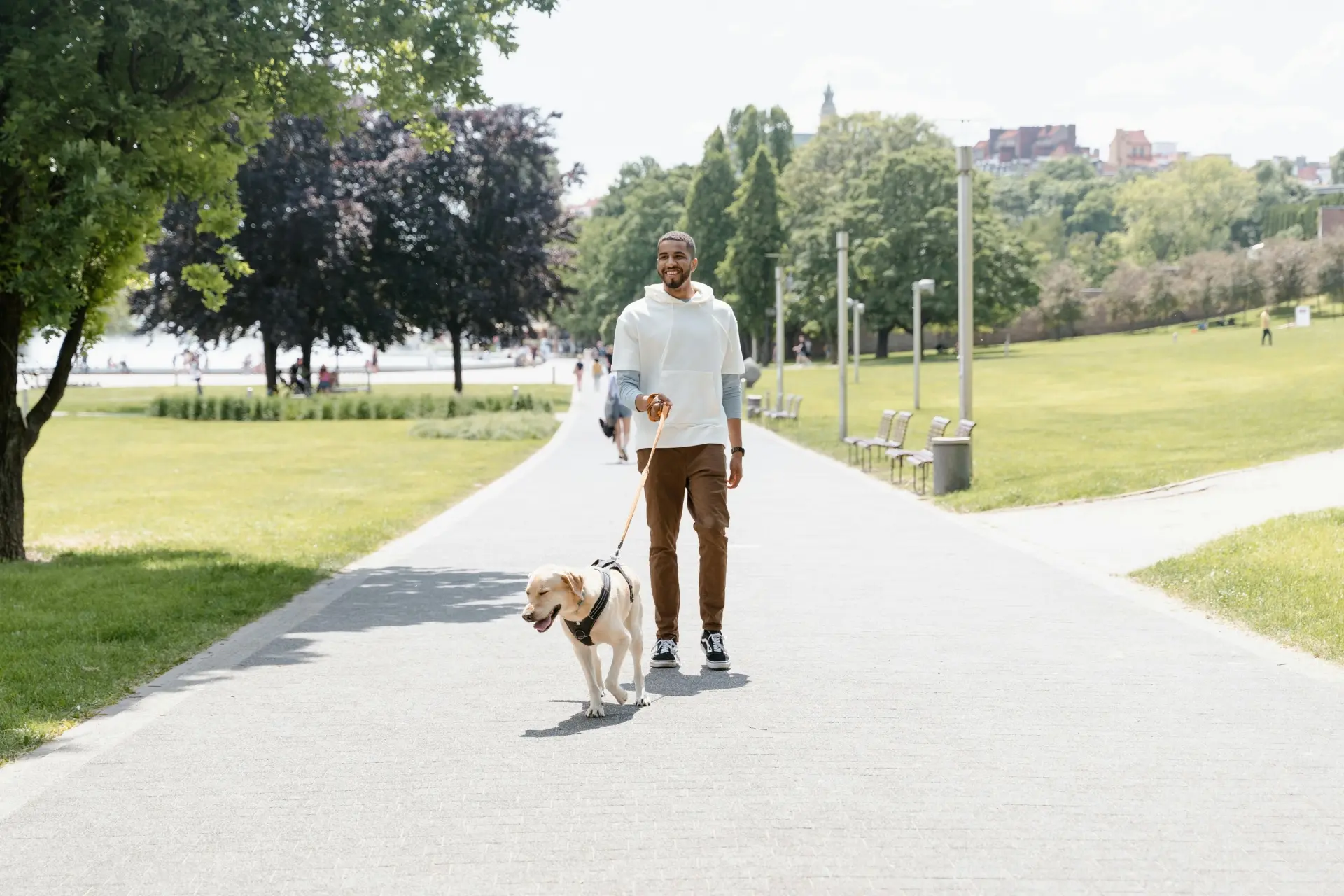 Arneses cómodos para perros